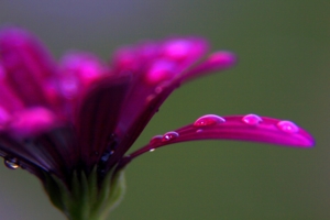 Jedna z nagrodzonych fotografii z ubiegłych lat